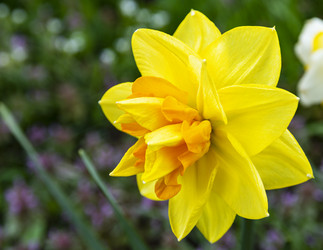 Similar image 21154417