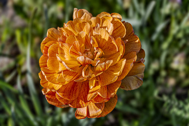 Similar image 21154419