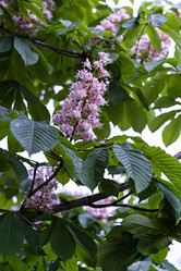 Similar image 21154420