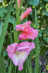 Similar image 21154422