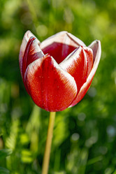 Similar image 21154425