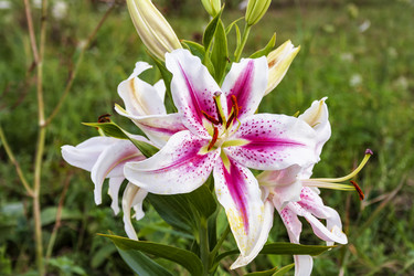 Similar image 21154426