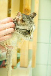 Similar image 21151488