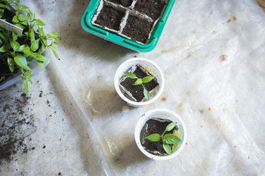 Similar image 21187412