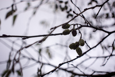 Similar image 21187414