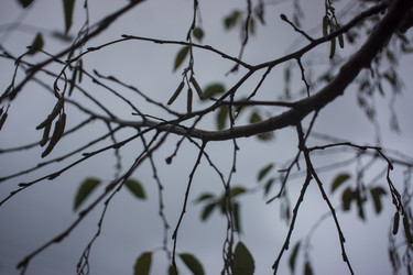 Similar image 21187415