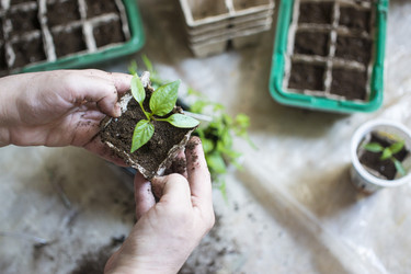 Similar image 21187418