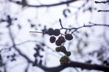 Similar image 21187451