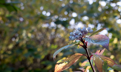 Similar image 21187452