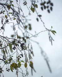 Similar image 21187453