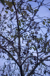 Similar image 21187454