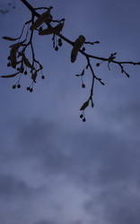 Similar image 21187455