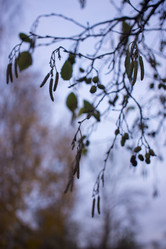 Similar image 21187456