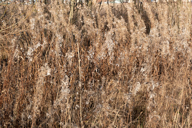 Similar image 21187467