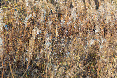 Similar image 21187468