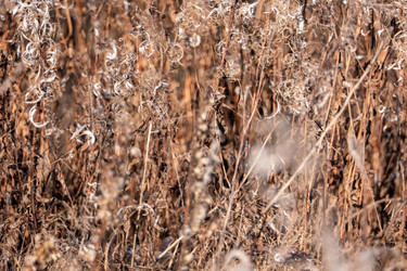 Similar image 21187469