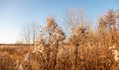 Similar image 21188093