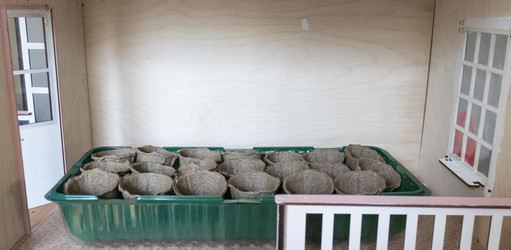 Similar image 21188140