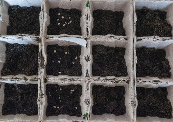 Similar image 21188142