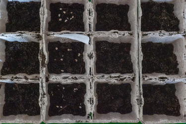 Similar image 21157050