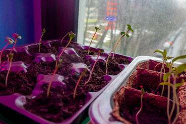 Similar image 21157052