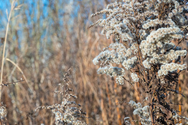 Similar image 21157053