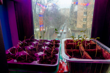 Similar image 21157054