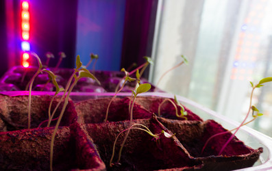 Similar image 21157056