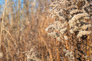 Similar image 21157058