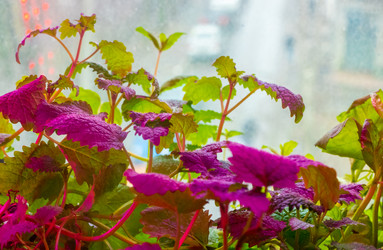 Similar image 21157061