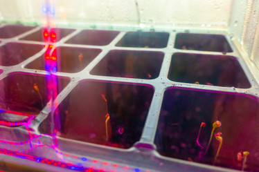 Similar image 21157063