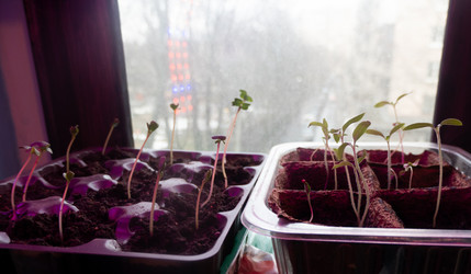 Similar image 21157065