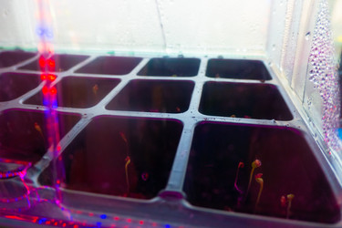 Similar image 21157066