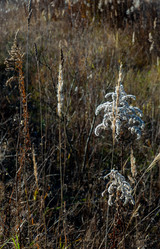 Similar image 21157067