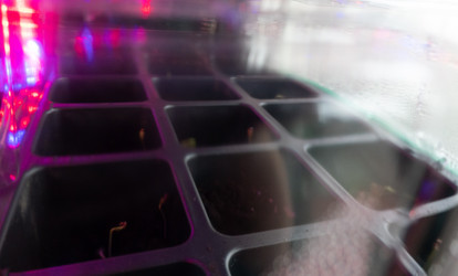 Similar image 21157068