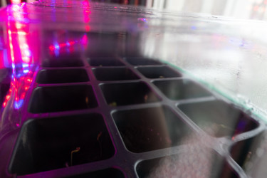 Similar image 21157069