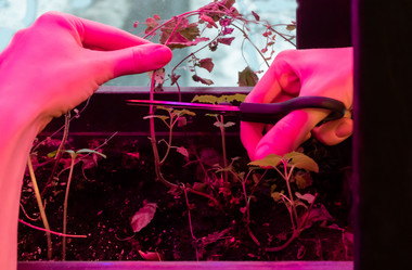 Similar image 21157071