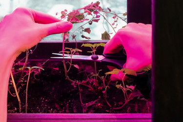 Similar image 21157073