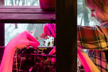 Similar image 21188144