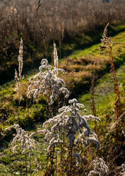 Similar image 21157075