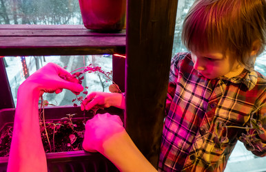 Similar image 21188145