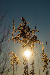 Similar image 21157077