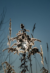 Similar image 21157078