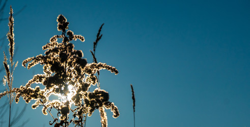 Similar image 21157080