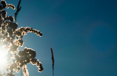 Similar image 21157081