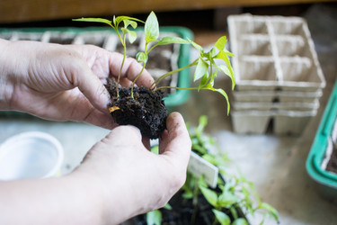 Similar image 21157083