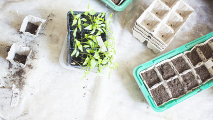 Similar image 21157086