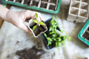 Similar image 21157632