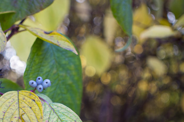 Similar image 21157633