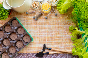 Similar image 21157634